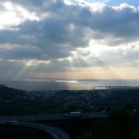 U Marin